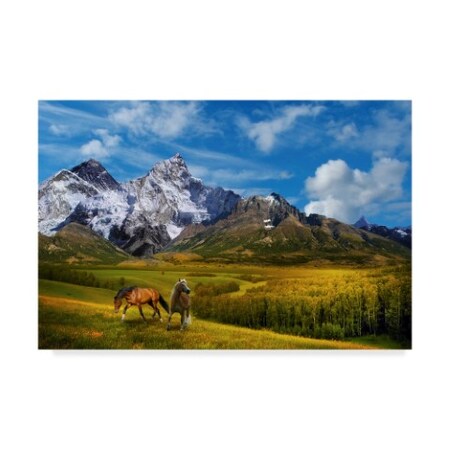 Trademark Fine Art Ata Alishahi 'Wild Nature' Canvas Art, 16x24 ALI22153-C1624GG